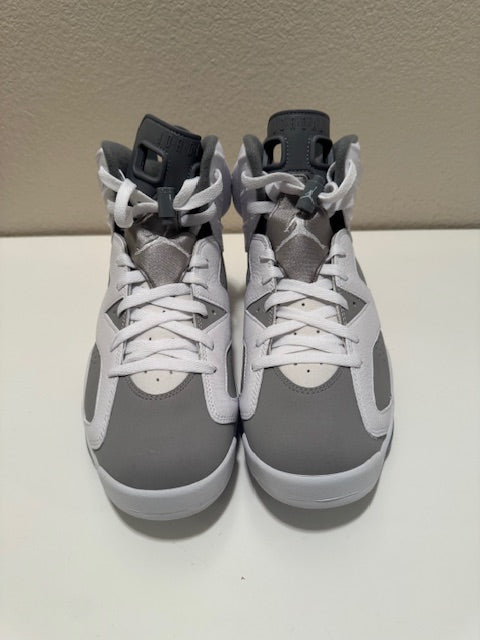 Jordan 6 Retro "Cool Grey"